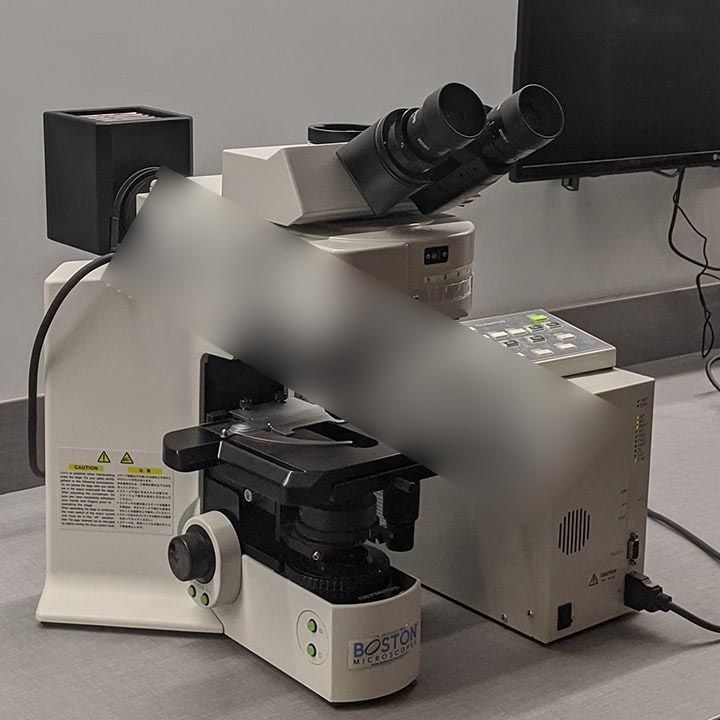 Olympus BX61 Upright Motorized Metallurgical Trinocular Microscope