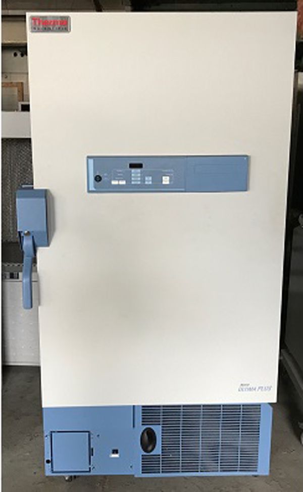 Thermo Fisher ULT2186 10 A43