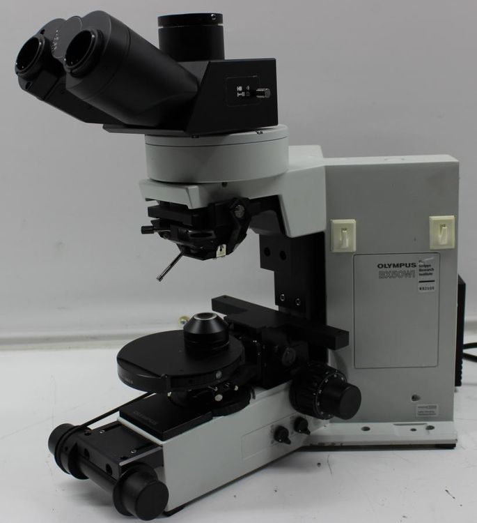 Olympus Bx Wi Binocular Microscope