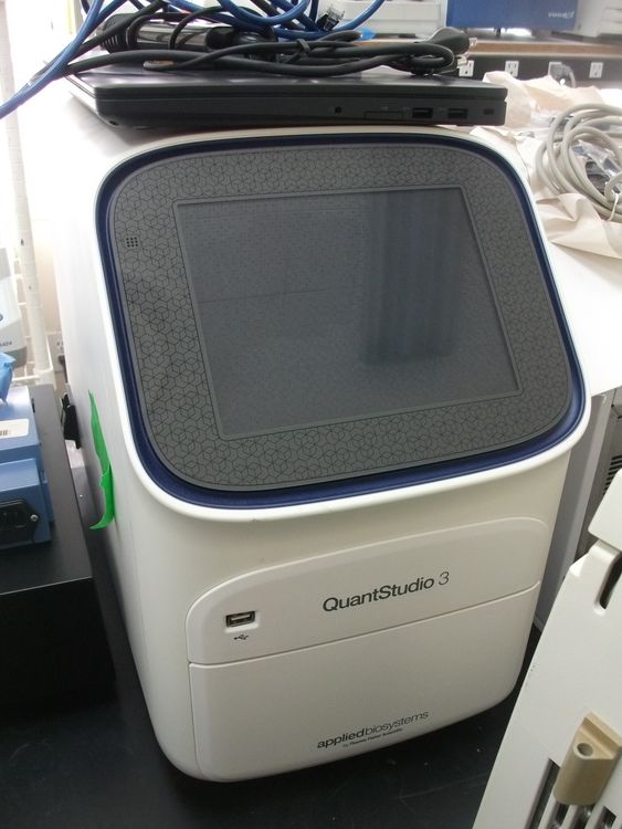 ABS QuantStudio 3 RT-PCR