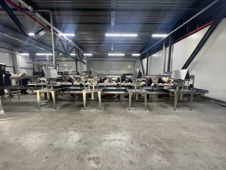 Greymans  Paktech production and packaging line