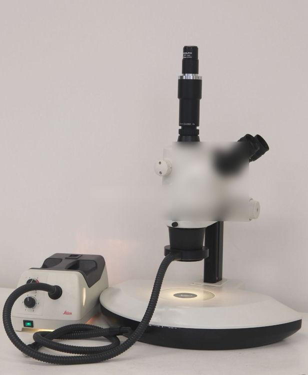 Leica S6D, Stereo Microscope