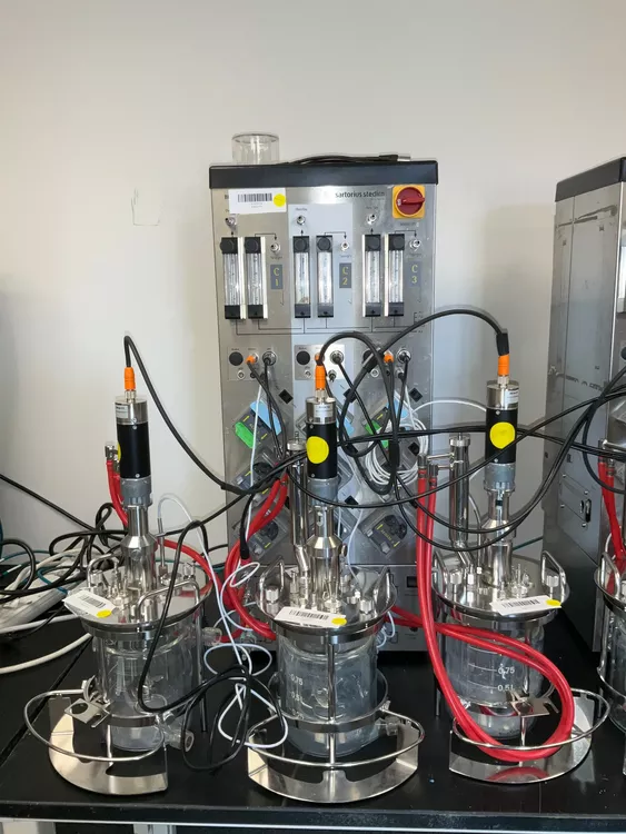 BIOSTAT Qplus Fermentor Bioreactor