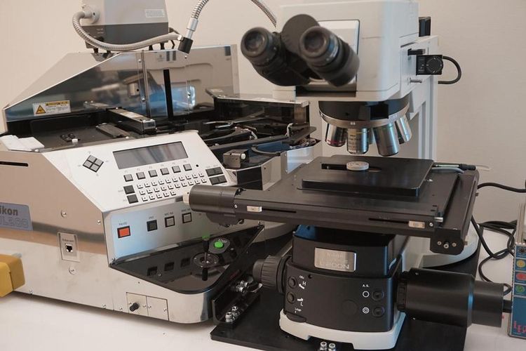 Nikon Eclipse L200N microscope