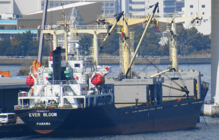 Nanjing Wujiazui Shipbuilding EVER BLOOM ABT 7351 DWT ON 7 M DRAFT