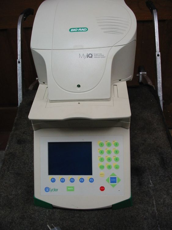Biorad Icycler with MyiQ Real-Time PCR Detection System