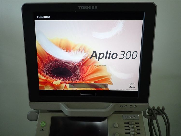 Toshiba Aplio 300