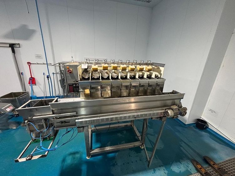 Newtec 2009 linear weigher