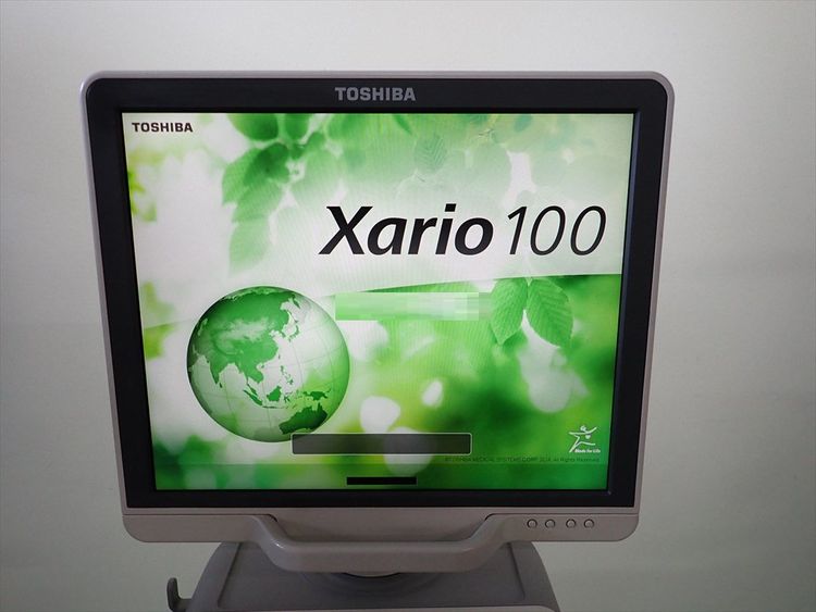 Toshiba Xario 100