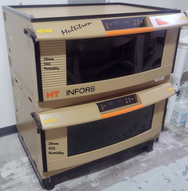 Infors Multitron Floor Incubator Shaker Double Stack with CO2/Humidity