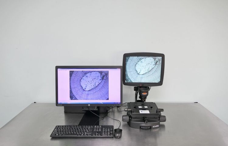 EVOS Imaging Microscope