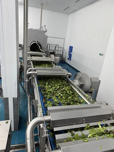 Somac  Full salad wash + dry salad line