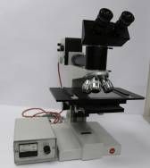 Leitz SM-LUX HL Microscope