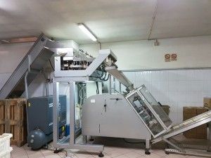 Mondial INCLINED PACKAGING MACHINE