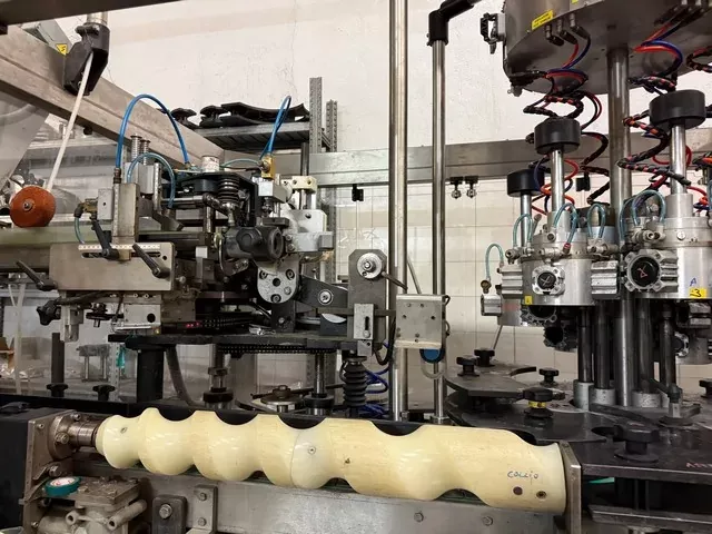 Nortan MONOSTADIO F 6 T Capsuling Machine