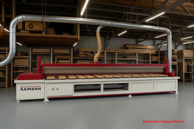 Raimann FLS 170-6200 Rip saw