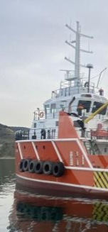 36M MULTIROLE DIVE SUPPORT VESSEL  Gross Tonnage: 446