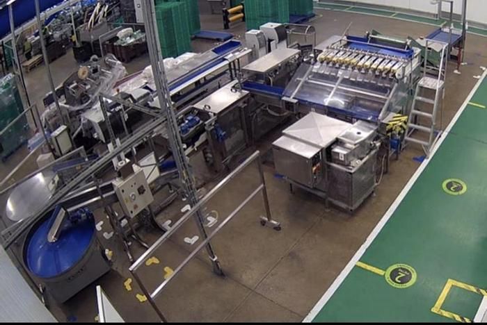 Newtec 2012A/7000EAT, Apple/Pear Full Packing Line