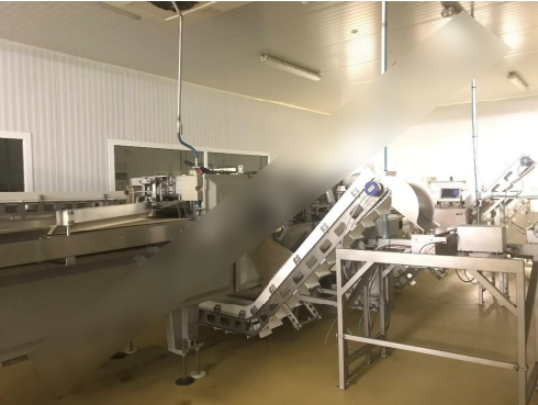 Baader, Marel White fish processing line