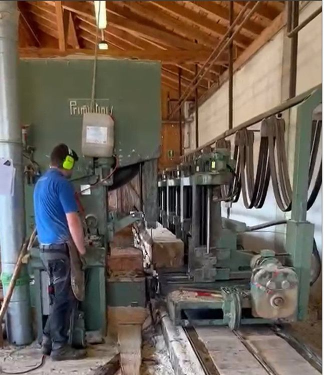 Primultini Hydralic saw mill
