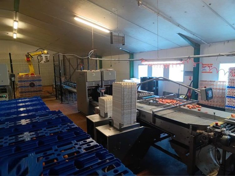 SFP200, Egg Packer