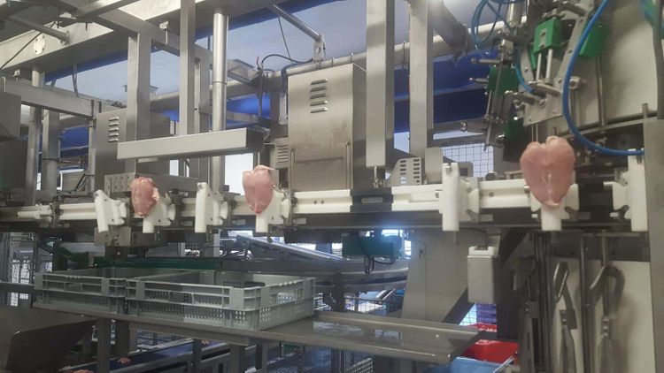 Meyn Breast Cap Filleting machine