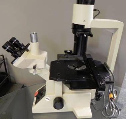 Olympus CK2, Inverted Phase Contrast Microscope