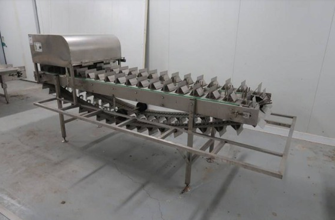 Technoinvest RTM-1S Eggplant stem cutting machine