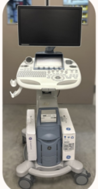 GE Healthcare Voluson S8T