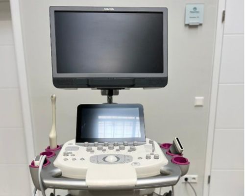 Siemens Acuson S1000