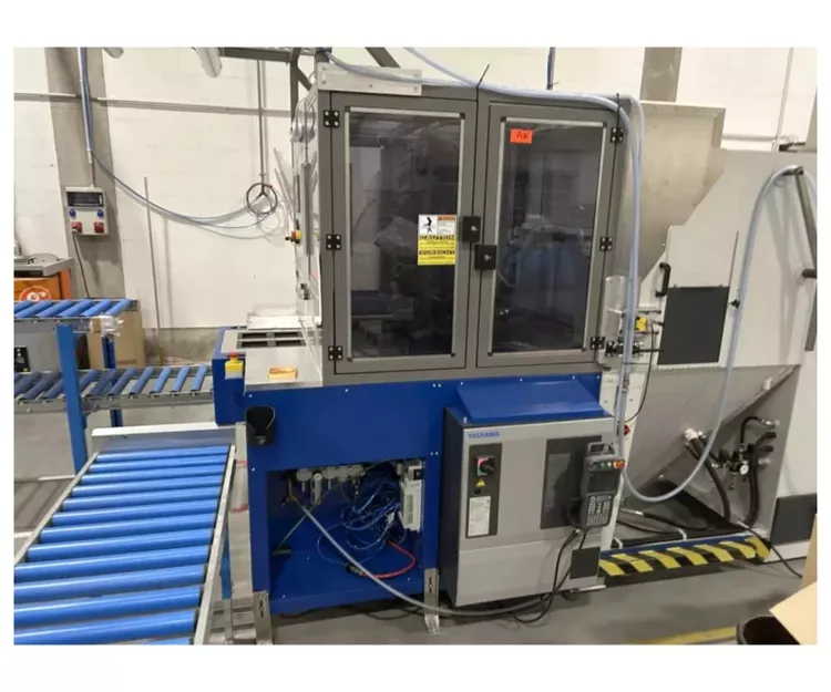 SAPI Büffel 100 Satinizing Cabin with YASKAWA Robot 6 Axis