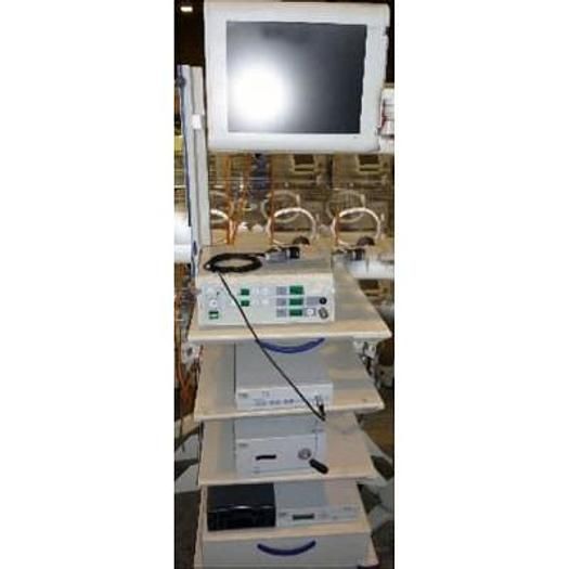Lemke Germany Laparoscopic Surgery Column