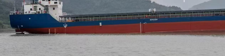 Bulk Carrier Vessel 4,360 DWT