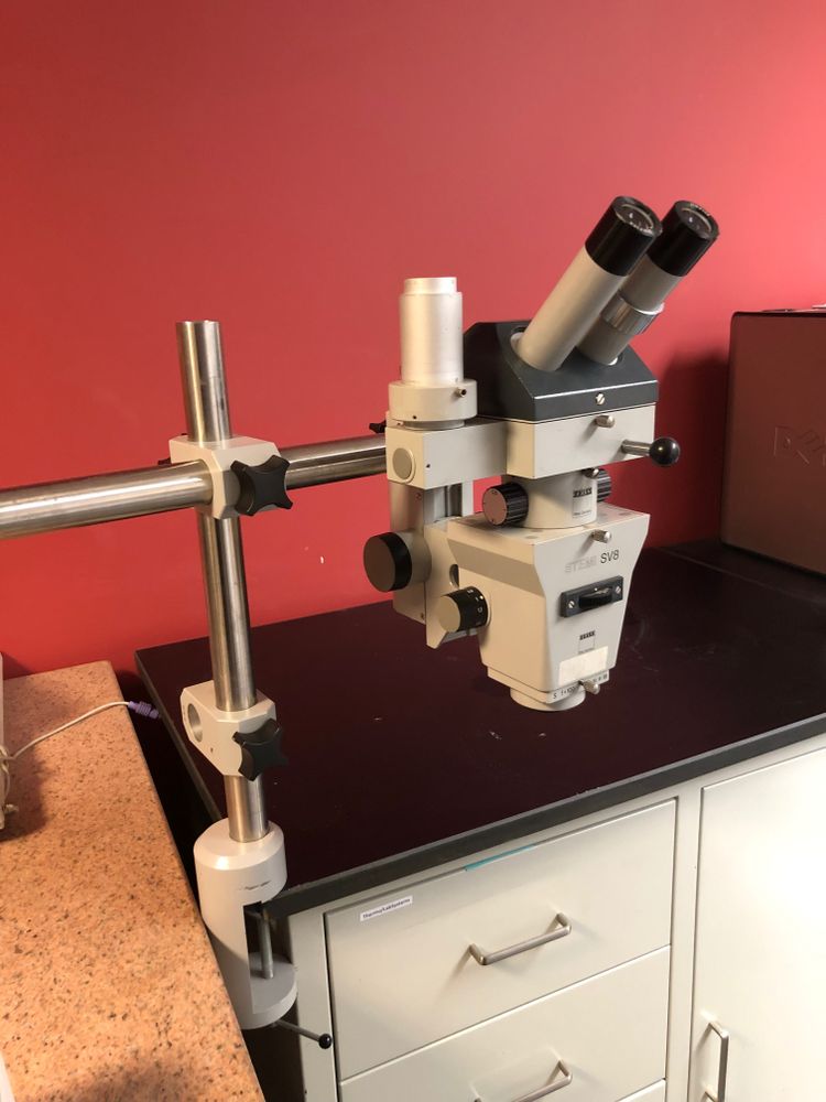 ZEISS Stemi SV8, Stereo/Dissecting Microscope