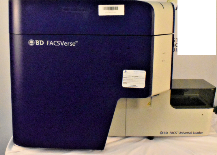 BD FACSVerse Flow Cytometer