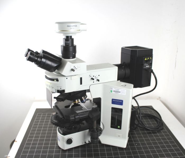 Olympus Bx51 Microscope