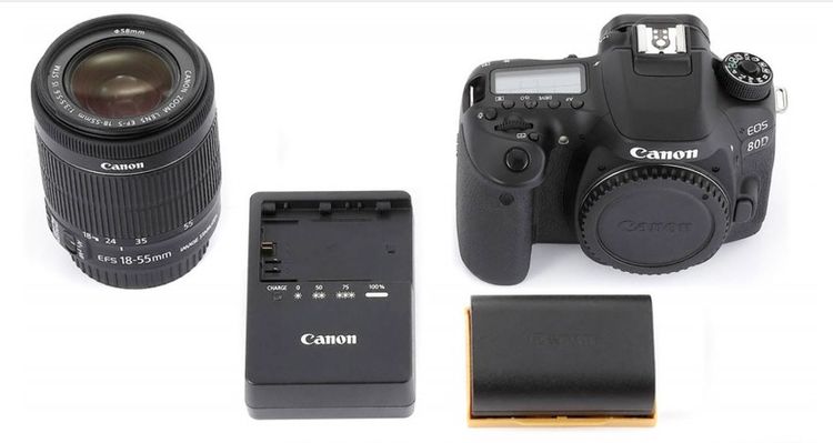 canon digital professional for canon 6d download