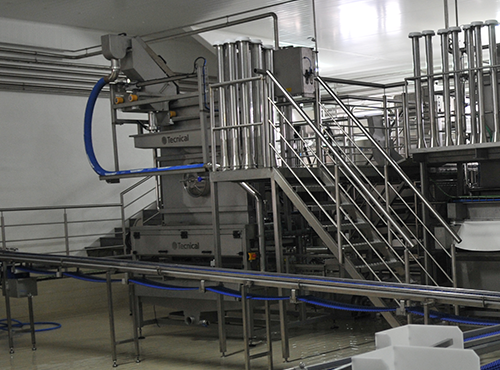 MULTIFORMAT 10 TPI, Moulding Machine