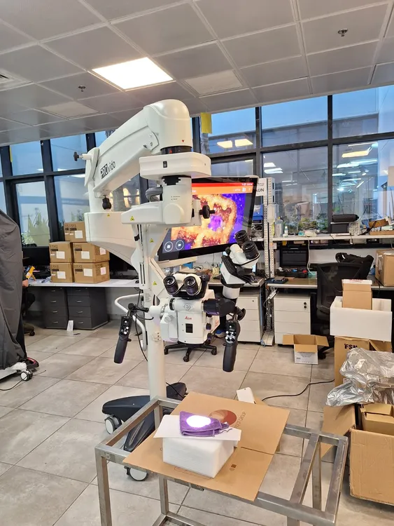 Leica Provido  Microscope