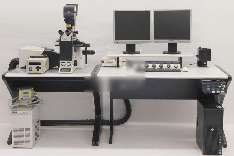 Leica TCS SP5, Confocal laser scanning microscope