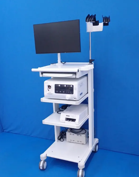 Fujifilm 6000 Eluxeo Lite Multi-LED Videoscope System