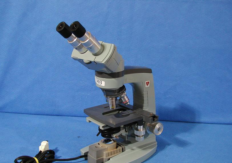 American Optical 1037 Microscope