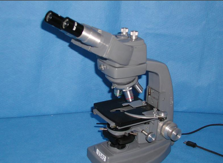 Bausch & Lomb BGL Microscope
