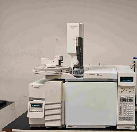 Agilent 6890N, 5973N GC-MS