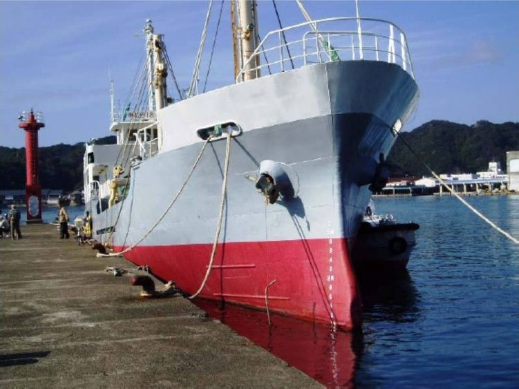 GENERAL CARGO SHIP (SINGLE DECKER) ABT 350DWT