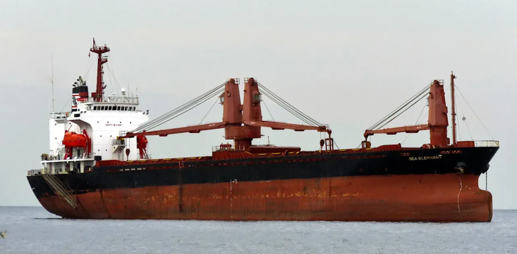 Higaki SEA ELEPHANT ABT 11826 DWT ON 10.1 M DRAFT