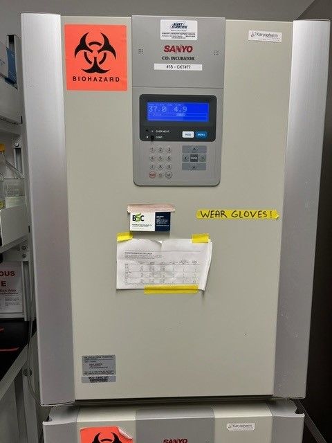 Sanyo MCO19AIC (UV) CO2 Incubator