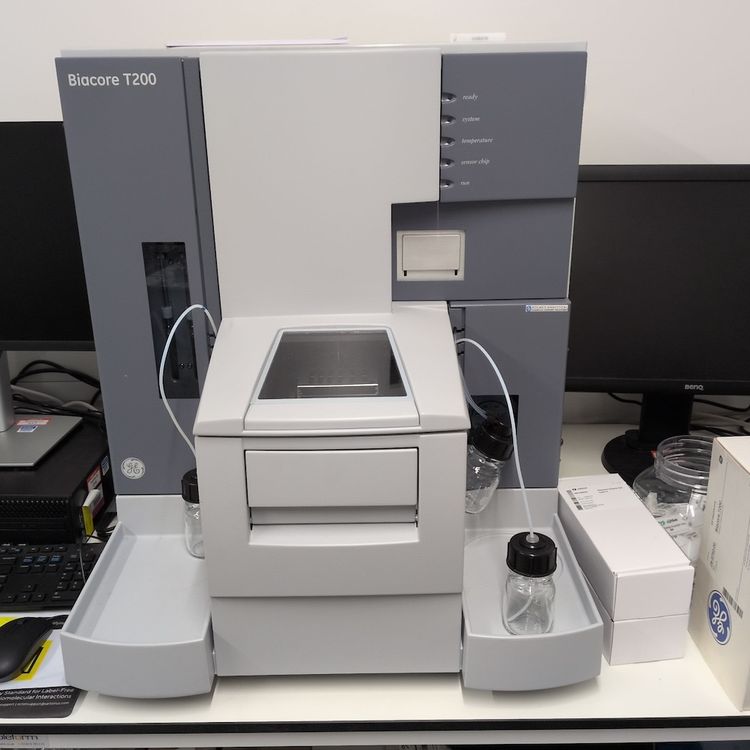 Biacore T200