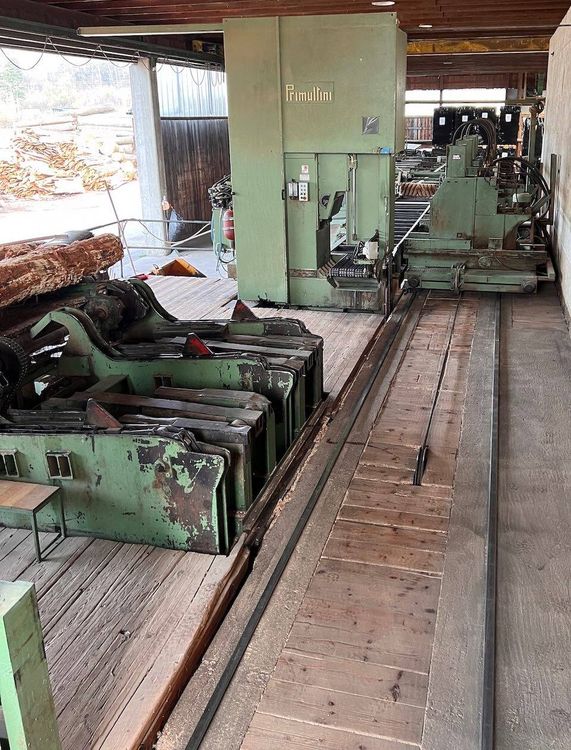 Primultini SIC 1600