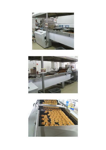 Reimelt EL 8/5000 8 rows, Fat baking plant